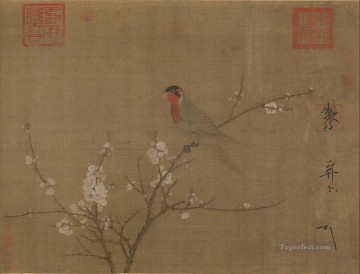 趙季宋徽宗 Painting - 開花したアプリコットの木の上に五色のインコ 1119 古い中国のインク